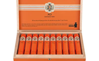 Avo XO Notturno Tubos