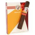 Avo Syncro Nicaragua Fogata 4 Pack Robusto