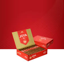 JOYA RED SHORT CHURCHILL(43/4X48)(20)