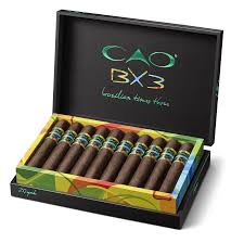 CAO BX3 GORDO 6X60  (20)