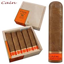 CAIN DAYTONA 660 (24) OLIVA
