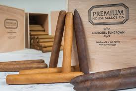 [INTREF011563] ASHTON PR HOUSE SELECTION CHURCHILL MADURO (100)