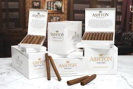 [INTREF001120] ASHTON CAMEROON SENORITAS (100)