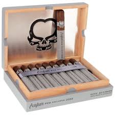 [INTREF007990] PCA ASYLUM 2023 6X52  (20)