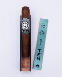 [INTREF001354] ASYLUM TEN 2022 70X7  (20)