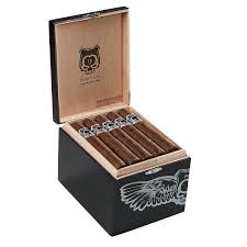 [INTREF001340] ASYLUM NYCTOPHILIA 50X5 25