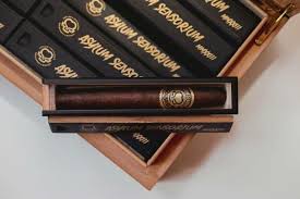 [INTREF001353] ASYLUM SENSORIUM MMXX111  11X18  (20)