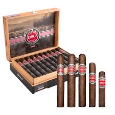 [INTREF003343] EIROA CBT MADURO 50X5 20
