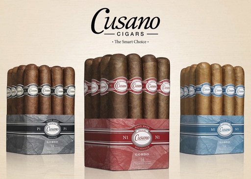 [INTREF007802] CUSANO P1 Gordo