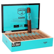 [INTREF002119] CAMACHO ECUADOR GORDO (20)