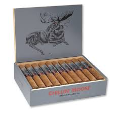 [INTREF002455] CHILLIN' MOOSE ORIGINAL CORONA 5.65 X 46 (20)