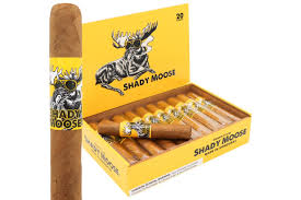 [INTREF002460] CHILLIN' MOOSE SHADY MOOSE GIGANTE 6X60 BOX20
