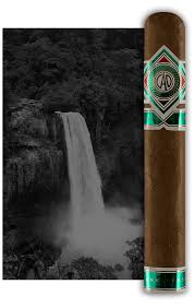 [INTREF002193] CAO CAMEROON L'ANNIVERSAIRE TORO 5 1/2X55 (20)