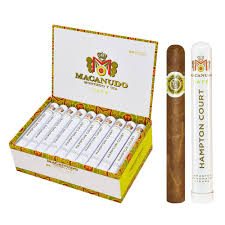 [INTREF006122] MACANUDO CAFE HAMPTON COURT ALUMINUM TUBE 51/2X42 (25)