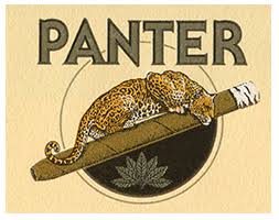 [INTREF007907] PANTER MIGNON 10X10 TINS