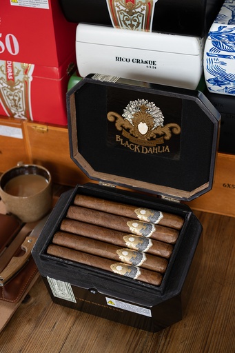 [INTREF004134] GH GRAN ROBUSTO BLACK 6 X 54 (20) GRAN HABANO