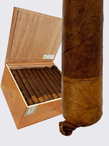 [INTREF004192] GH PERSIAN KING RAJAH NATURAL 6X50 (50) GRAN HABANO