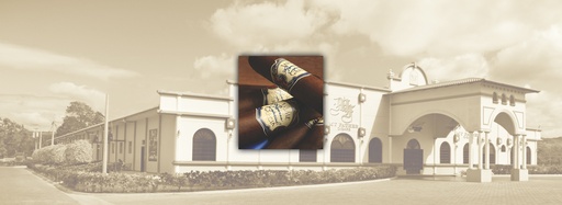 [INTREF006454] MY FATHER JAIME GARCIA RESERVA ESP. PETIT ROBUSTO(20)