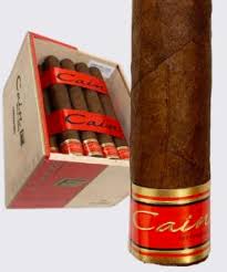 [INTREF011866] CAIN F 660 (24) OLIVA