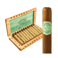 [INTREF010160] 2012 COROJO TORO 6X52 20 BOX ORANGE