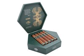 [INTREF008146] PLASENCIA ALMA FUERTE SIXTO I HEX 6X60 (10)