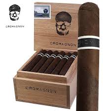[INTREF008799] ROMA CRAFT CROMAGNON CRANIUM 5X54  (24)