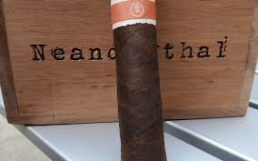 [INTREF008818] ROMA CRAFT NEANDERTHAL HoxD,4X46  (15)