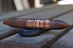 [INTREF005569] KUDZU PERFECTO(6X56)BDL20 SOUTHERN DRAW